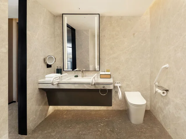 غرفة بسرير كينج لذوي الإعاقة، DoubleTree by Hilton Zhengzhou Airport Aerotropolis 4/4