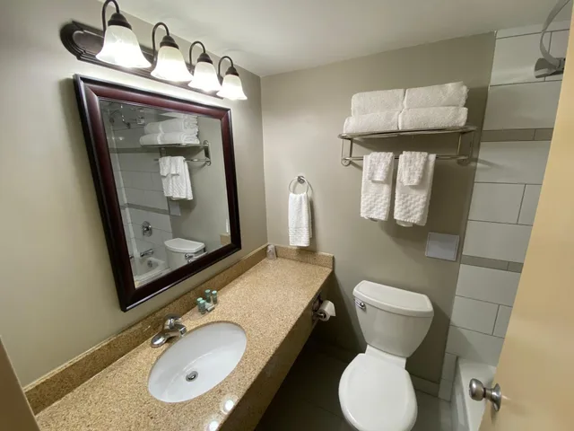 Room, King Bed, Sofa, Best Western St Catharines Hotel Conference Centre 7/7