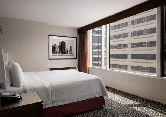 جناح بسرير كينج بإطلالة على البحيرة بغرفة نوم واحدة لذوي الإعاقة، Homewood Suites By Hilton Chicago Downtown/Magnificent Mile 1/2