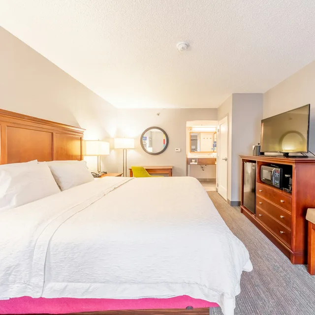 Room, King Bed, Exterior Entrance، Hampton Inn Gainesville FL 1/4