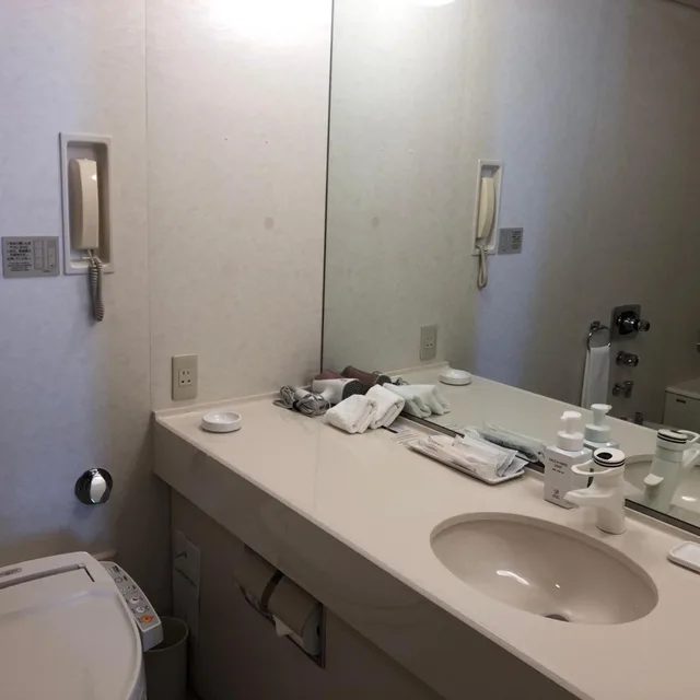 Suite, KUSHIRO PRINCE HOTEL 4/10