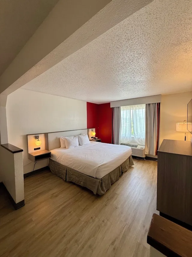 جناح بزنس بسرير كينج مع أريكة، Ramada by Wyndham Glendale Heights/Lombard 1/10