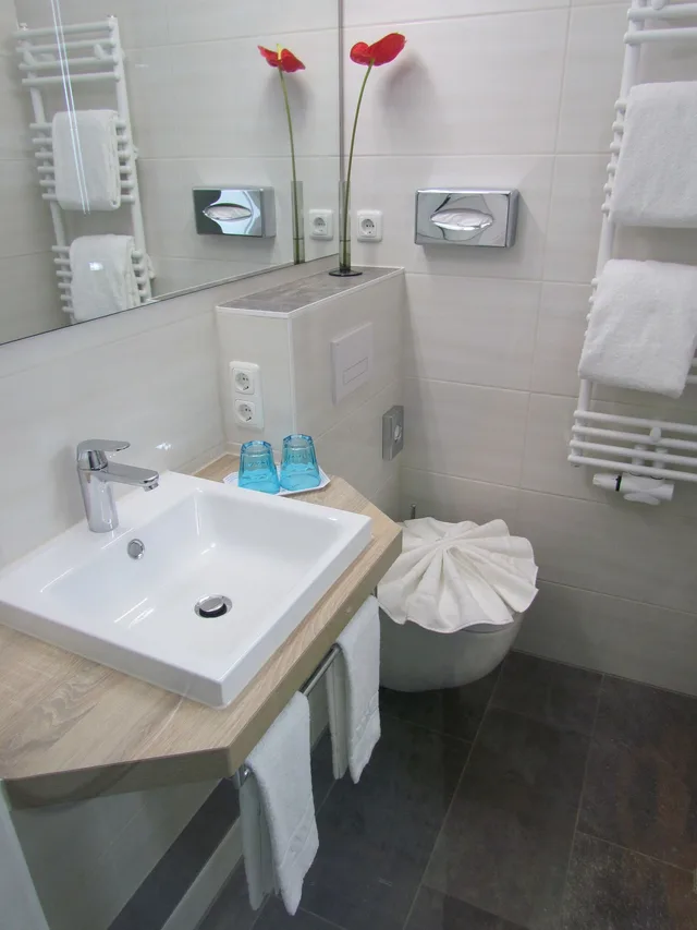 Superior, Twin Beds, Garden View, Hotel Amenity Munchen 3/5