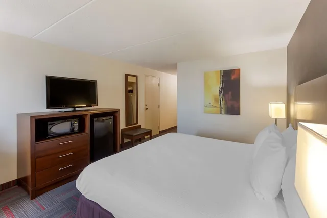 غرفة قياسية بسرير كينج، Best Western Plus Toronto Airport Hotel 5/8