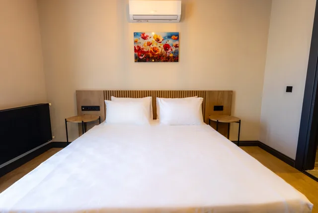 غرفة قياسية، Leliko Suites 2/5
