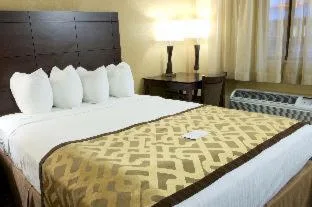 Room, King Bed, Sofa, Best Western Green Tree Inn 8/10