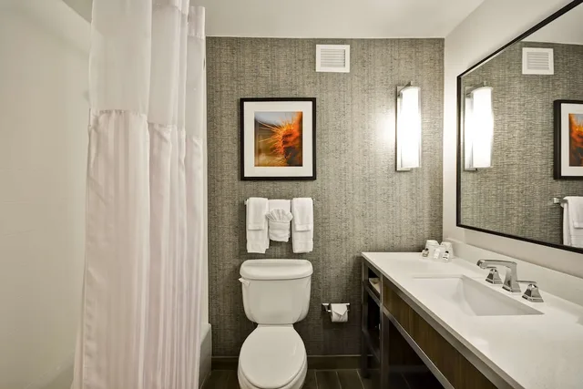 غرفة بسرير كينج مع أريكة، Hilton Garden Inn Austin/Round Rock 4/5