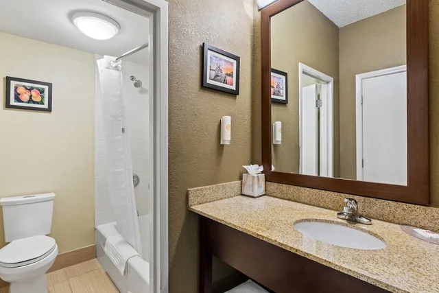 غرفة بسرير كينج لذوي الإعاقة، Comfort Inn Roswell-Dunwoody 6/9