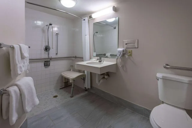 Room, Queen Bed, Accessible, La Quinta Inn & Suites by Wyndham Kingsport Tri-Cities 3/3