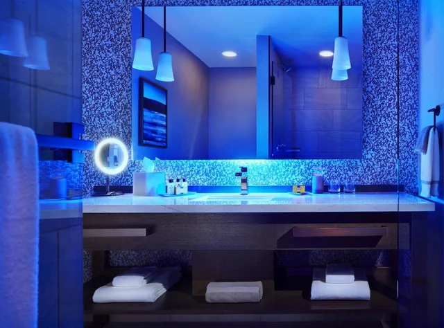 جناح بغرفة نوم واحدة، INTERCONTINENTAL MINNEAPOLIS - ST. PAUL AIRPORT 2/3