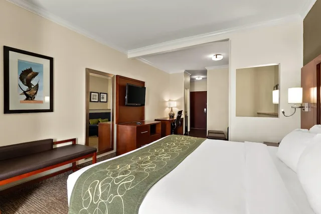 جناح بسرير كينج مع أريكة لذوي الإعاقة، Comfort Suites Corpus Christi Central 2/10