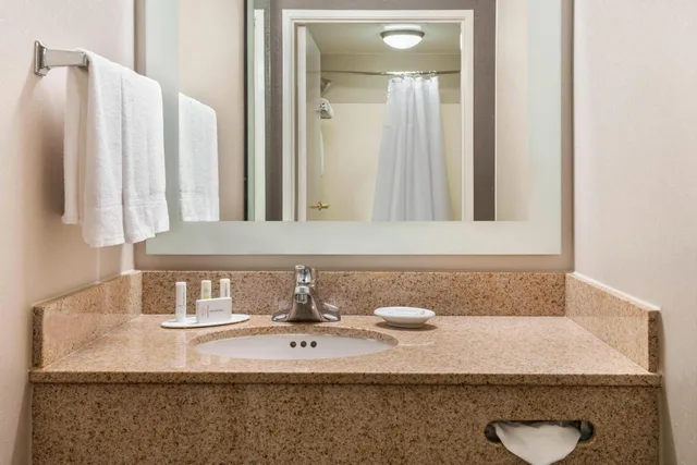 Suite, King Bed, Sofa, Bathtub, Accessible, Springhill Suites Indianapolis Carmel 3/5