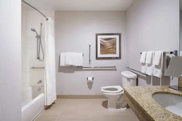 جناح بسرير كوين مع أريكة لذوي الإعاقة، Courtyard By Marriott Milpitas Silicon Valley 1/1