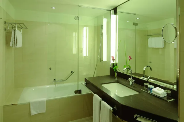 غرفة كلاسيكية بسرير مزدوج، Maritim Hotel Dusseldorf 8/9