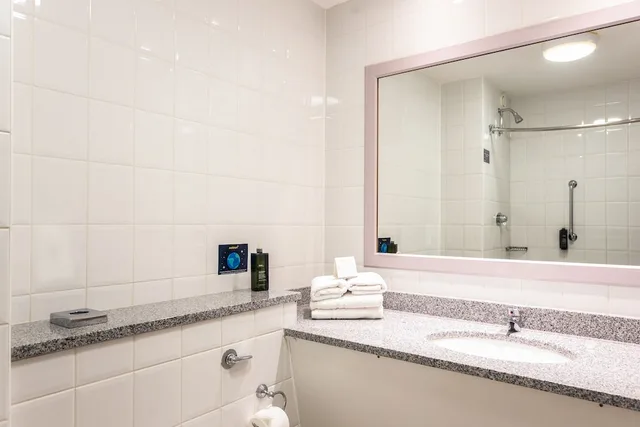 غرفة عائلية بسرير فردي مع أريكة، Maldron Hotel Galway 8/9