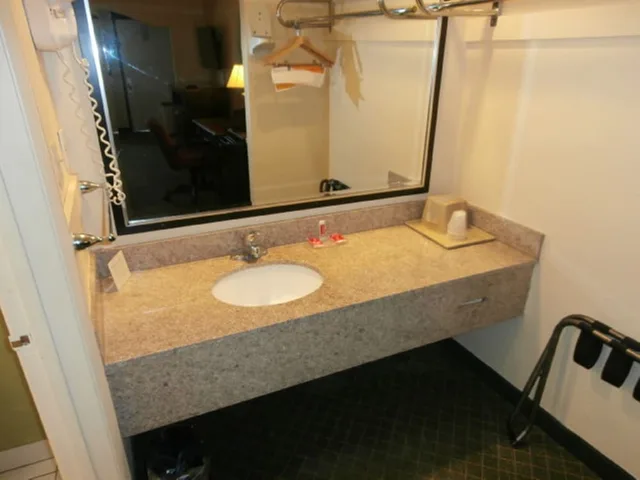 Room, Single, King Bed, Sofa, Smoking, Econo Lodge Aiken Central 3/3