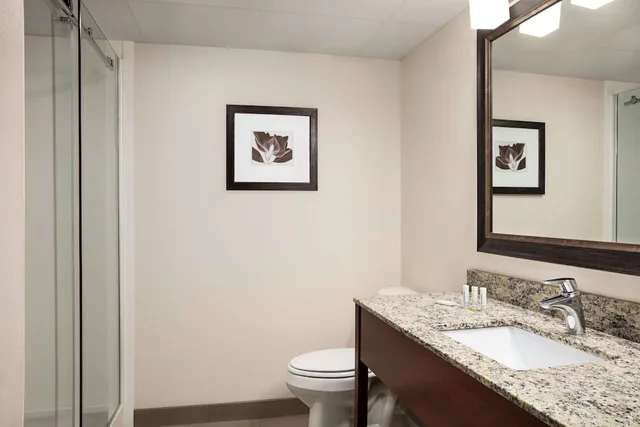 Suite, King Bed, Sofa, Americinn By Wyndham Baudette 8/9