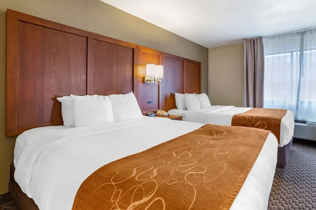 جناح بسريرين كوين مع أريكة، Comfort Suites Hobbs 1/3