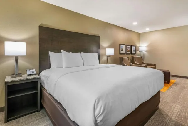 جناح بسرير كينج مع أريكة بمنطقة جلوس بمطبخ صغير، Coral Pointe Sarasota, an Ascend Collection Hotel 2/4