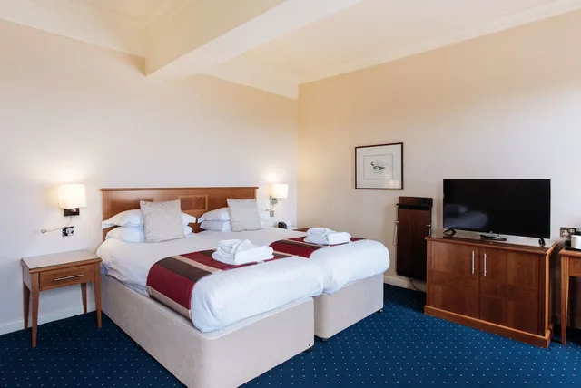 غرفة سوبيريور بسرير مزدوج أو سريرين منفصلين، The Palace Hotel Spa 1/2