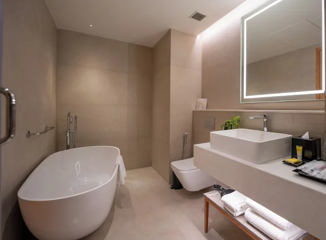 جناح بريميير بسرير كينج، Hyatt Place Gurgaon/Udyog Vihar 7/7