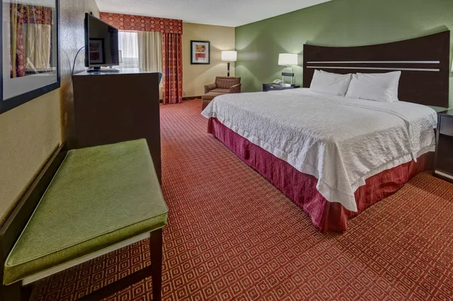 غرفة ديلوكس بسرير كينج، Hampton Inn Hot Springs 2/5