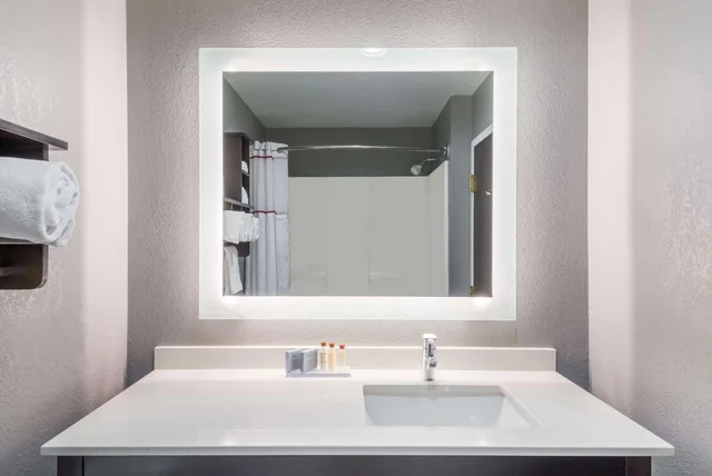 جناح بسرير كينج بغرفة نوم واحدة، Hawthorn Suites By Wyndham Columbus West Hotel 7/7