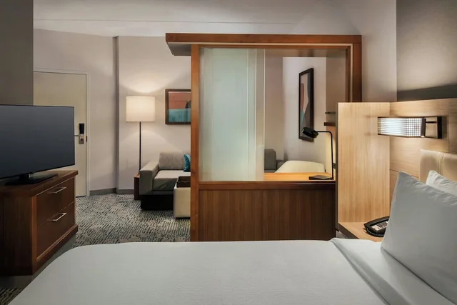 جناح بسرير كينج مع سرير سحّاب إضافي لذوي الإعاقة، SPRINGHILL SUITES MT. LAUREL CHERRY HILL 8/8