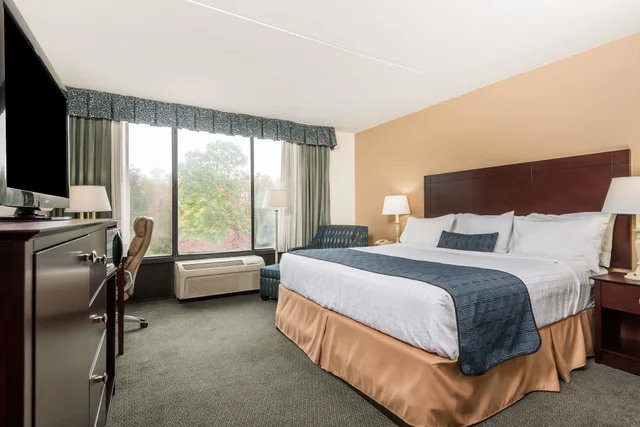 غرفة بسرير كينج لذوي الإعاقة، Wyndham Garden Williamsburg Busch Gardens Area 1/10