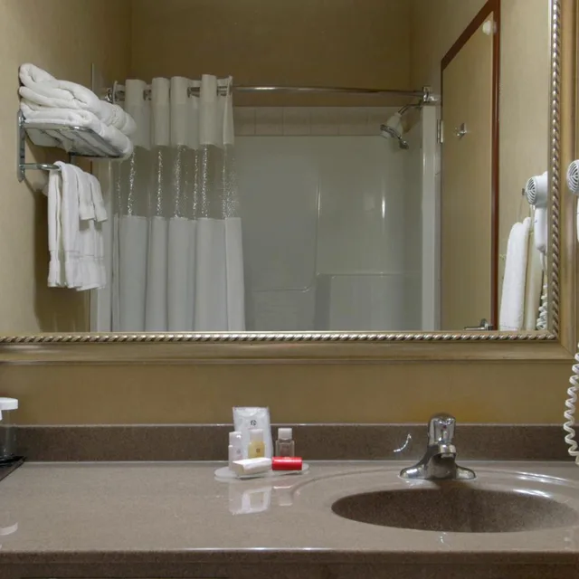 جناح ديلوكس بسرير كينج، Ramada By Wyndham Drumheller Hotel & Suites 6/6