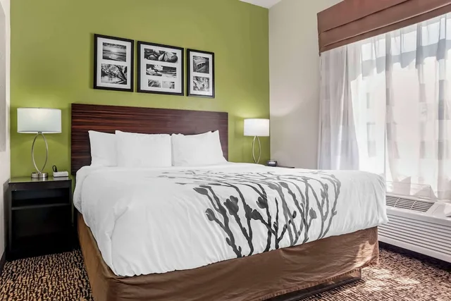 غرفة بسرير كينج لذوي الإعاقة، Sleep Inn and Suites Montgomery East I-85 2/6