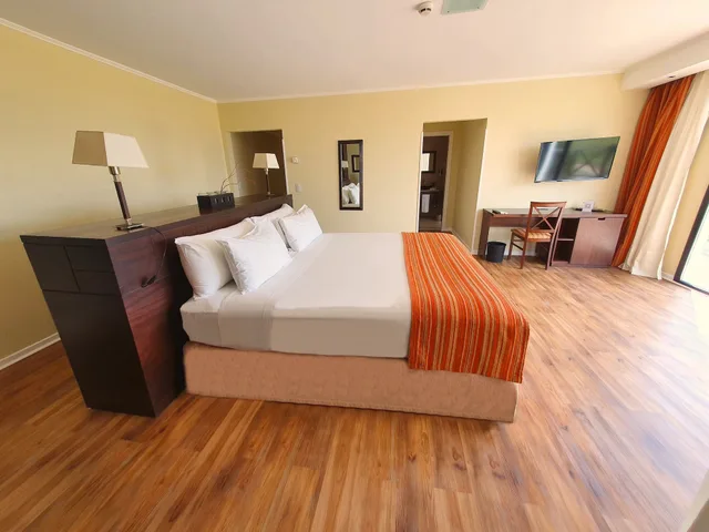 جناح رئاسي بسرير كينج، Xelena Hotel and Suites 1/10