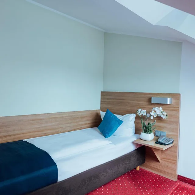 Room, Single, Hotel Andra 1/14
