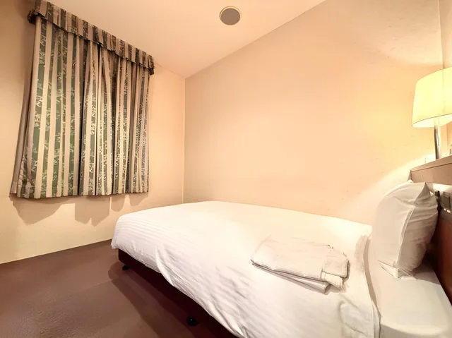 Semi Room, Deluxe, Semi Double Bed, Smoking, Royal Hotel Uohachi 1/1