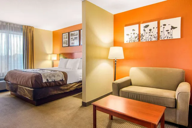 جناح بسرير كينج، Sleep Inn & Suites Athens South 3/3