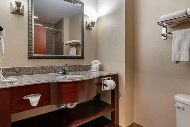 جناح بسرير كينج مع أريكة لذوي الإعاقة، Comfort Inn & Suites Clinton - Jackson West 3/3