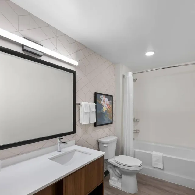 جناح ديلوكس بسرير كينج مع أريكة، Everhome Suites Portsmouth - Newington 7/8