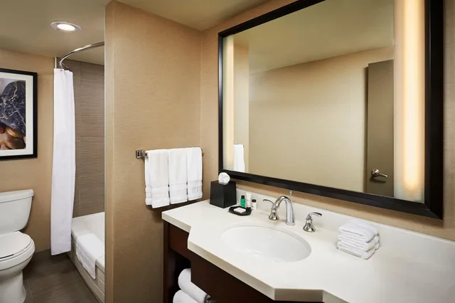 جناح جونيور بإطلالة على المدينة بغرفة نوم واحدة، Sheraton Hamilton Hotel 3/4