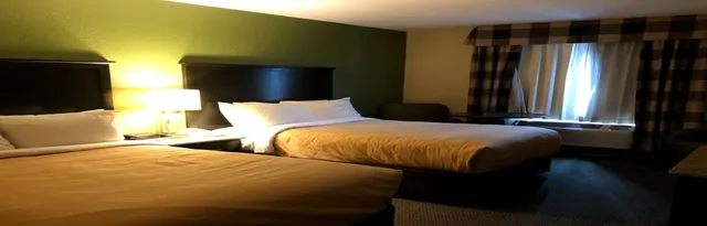 Standard, 2 Double Beds, Econo Lodge Wesley Chapel I-75 3/3