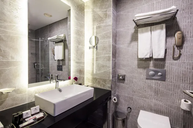 غرفة ديلوكس بسرير مزدوج أو سريرين منفصلين، VOLLEY HOTEL ISTANBUL 10/10