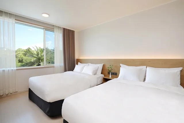 Deluxe, Twin Beds, Water Pool, Bloom Hotel 1/2