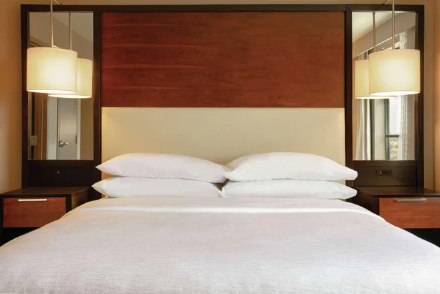 جناح بريميوم بسرير كينج بغرفتين، Embassy Suites Chattanooga / Hamilton Place 3/6