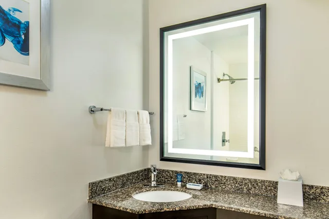 غرفة بسرير كينج، FOUR POINTS BY SHERATON KALAMAZOO 3/6