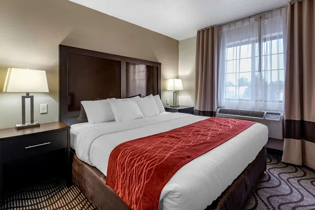 جناح بزنس بسرير كينج، Comfort Inn & Suites Fruita - Grand Junction 1/1