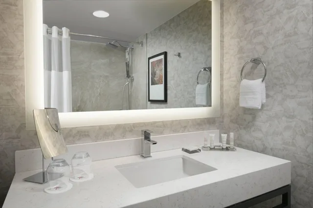 غرفة بسرير مزدوج لذوي الإعاقة، Houston Marriott Medical Center/Museum District 2/2