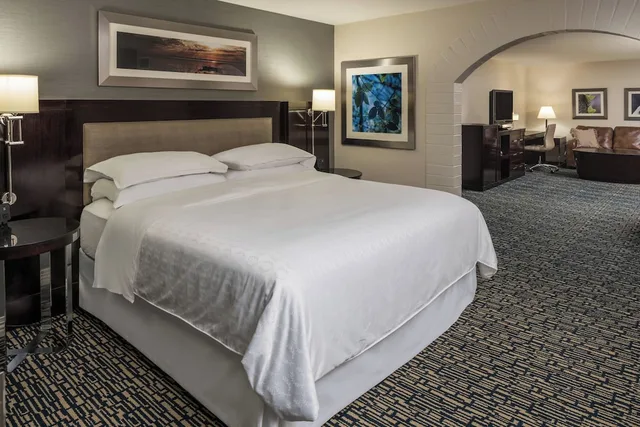 غرفة ديلوكس بسرير كينج مع أريكة لذوي الإعاقة، Sheraton Salt Lake City Hotel 2/9