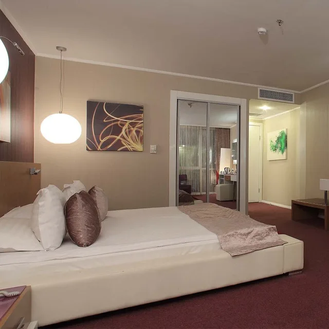 غرفة سوبيريور بسرير مزدوج، City Hotel Ankara 2/10