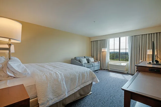 غرفة بسرير كينج مع أريكة، Hampton Inn Suites Cazenovia Ny 1/1