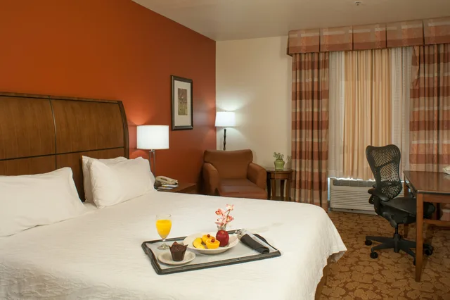 غرفة بسرير كينج بحوض استحمام لذوي الإعاقة، Hilton Garden Inn Tulsa Airport 1/2