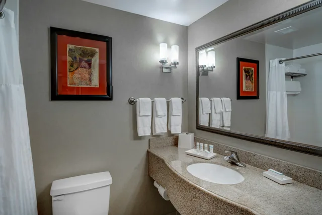 غرفة بسرير كينج بحوض جاكوزي، Hilton Garden Inn Augusta 3/3